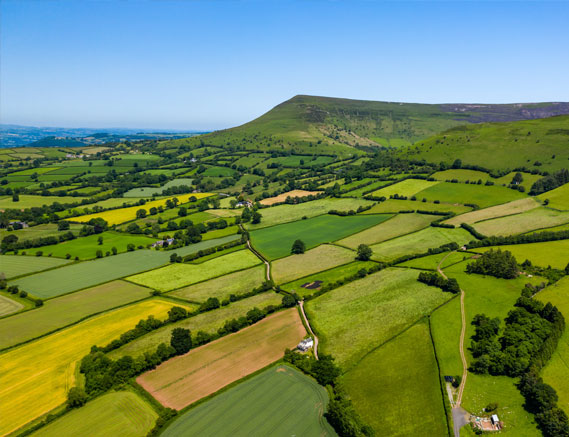 Frequently Asked Questions About Buying and Selling Agricultural Property