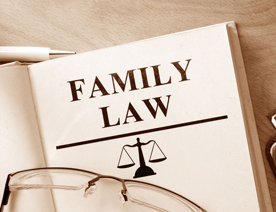 The Transparency Order in Family Law
